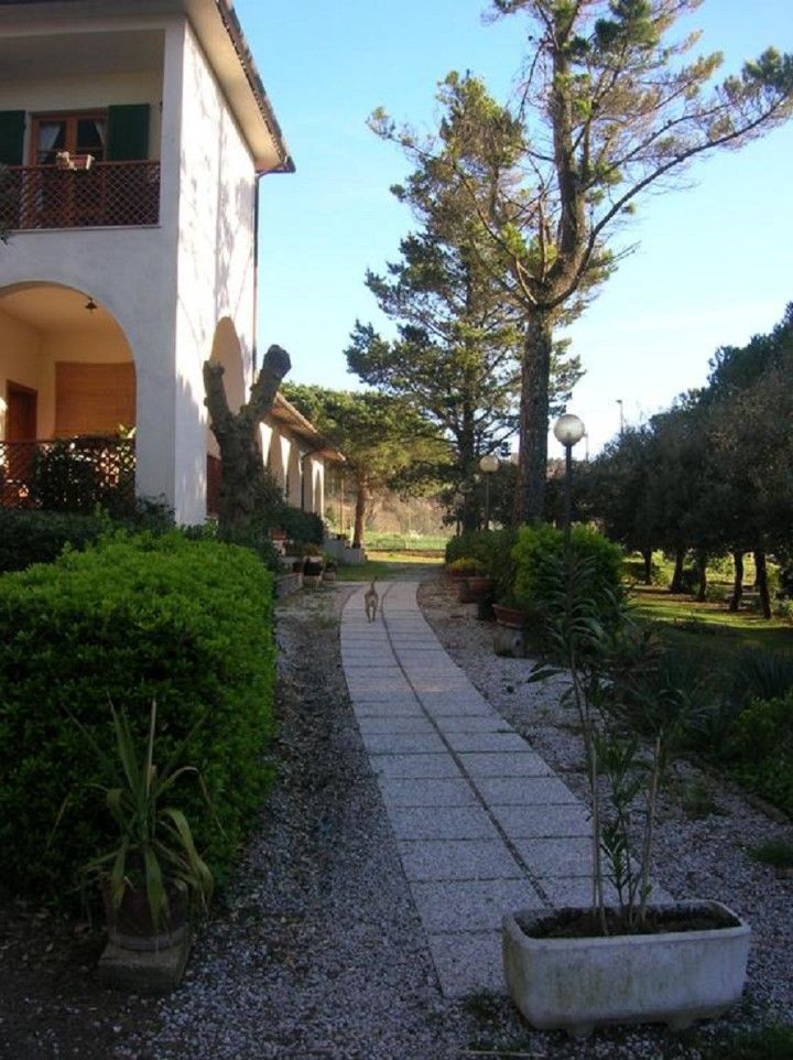 Hotel Il Poggetto Castellina Marittima Exterior photo